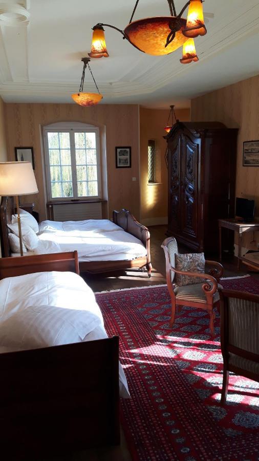 Chateau De Werde Matzenheim Dış mekan fotoğraf